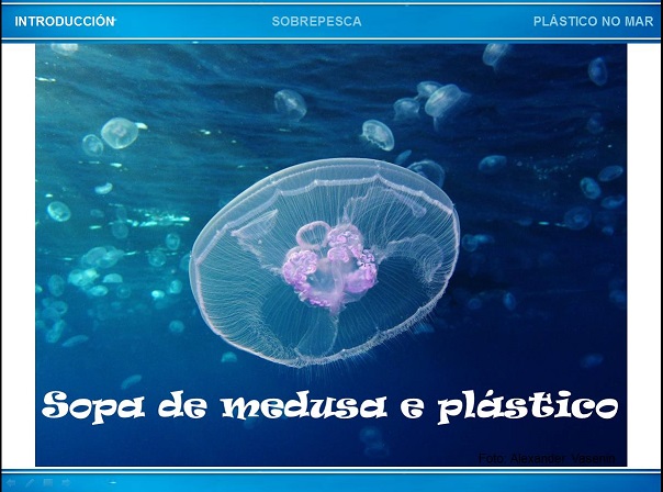 Sopa de medusa e plástico